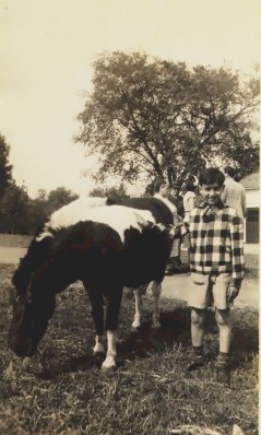 Bernard Most and a cow